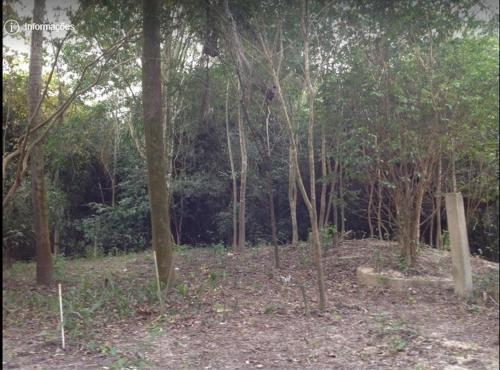 Sitio No Rio Paranapanema