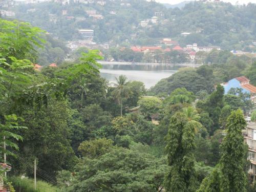 Hotel Nature Walk Resort