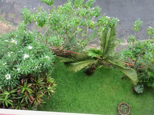 Hotel Nature Walk Resort