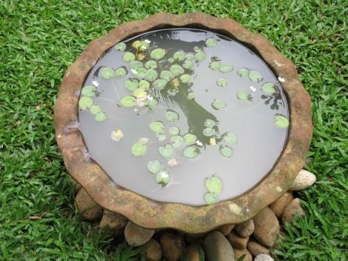 Hotel Nature Walk Resort