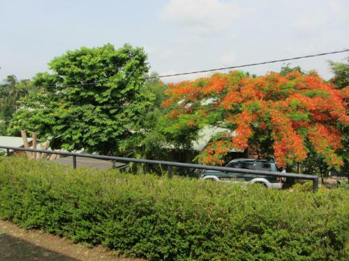 Visal Bungalows