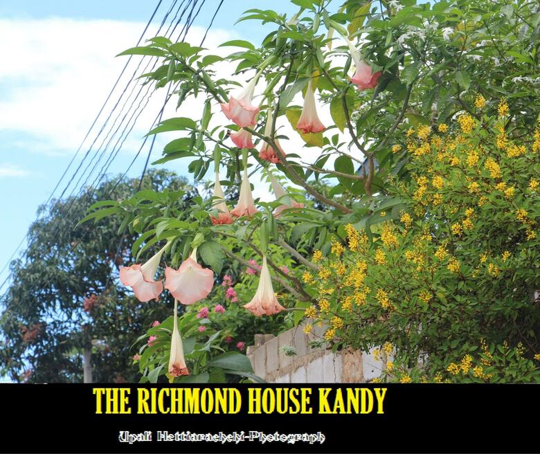 Hotel The Richmond House Kandy