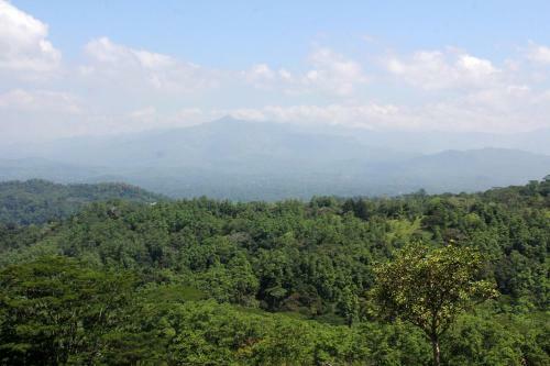 Apartamento Hantana Home Stay