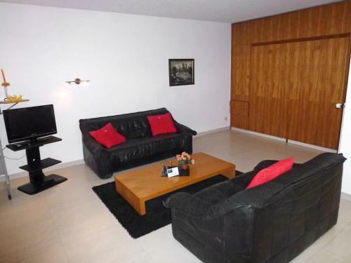 Panorama Studio Apartment