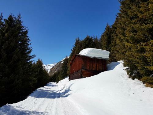 Hotel Mountain Lodge Sedrun
