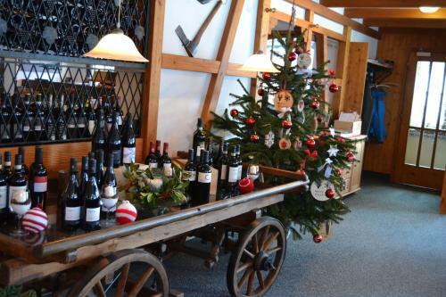 Hotel Mountain Lodge Sedrun