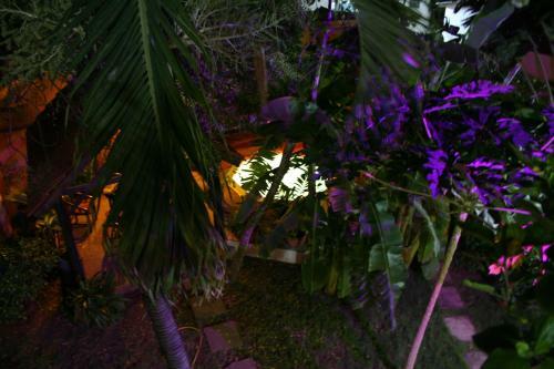 Hotel Aurore Lom�