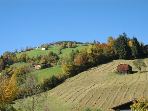 Apartamento Appartement Gwiggner