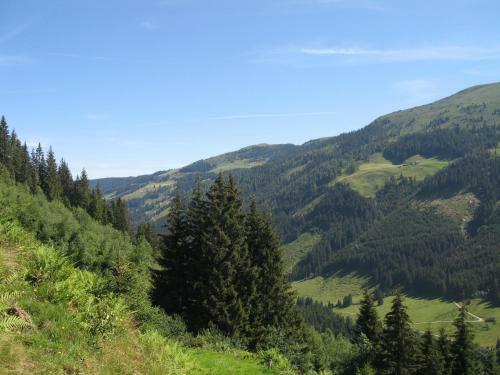 Apartamento Appartement Gwiggner
