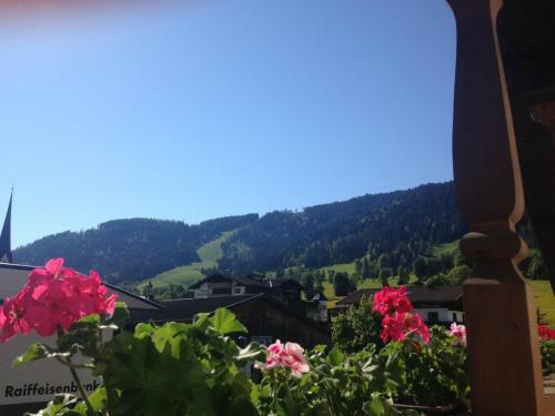 Apartamento Appartement Alpenhof Wildsch�nau