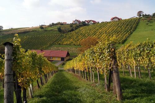Weinbau Winzerzimmer Veronika Und Alfred Kl�ckl