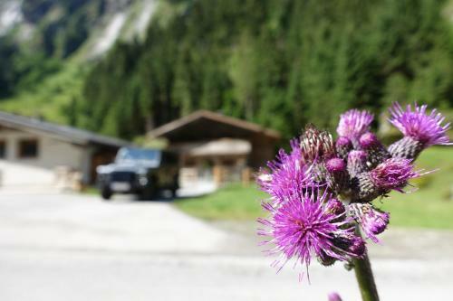 Lacknerbrunn Astl | Alm Im Stilluptal