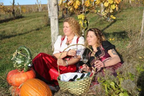 G�stehaus Weinviertel - Nieder�sterreich