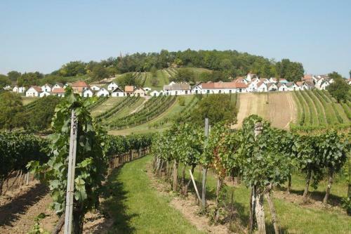 G�stehaus Weinviertel - Nieder�sterreich