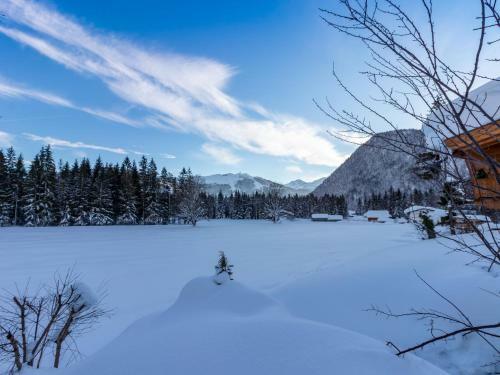 Chalet Freytag