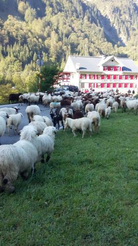 Hostal Landhaus Bad Hopfreben