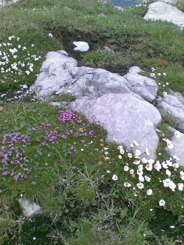 Stoffis H�tten