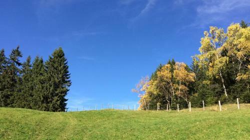 Hostal G�stehaus Regina