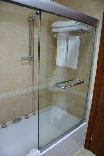 Hotel Ramada Plaza Gence