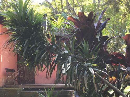 Hostal Pousada �guas Da Marambaia