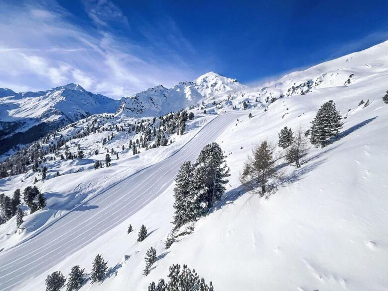 Apartment Cor Des Alpes 15