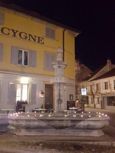Hotel H�tel Du Cygne