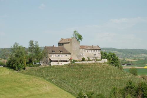 Hotel Schloss/castel Schwandegg