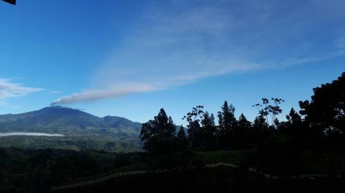 Finca Tres Equis - Farm And Forest
