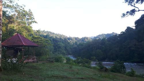 Finca Tres Equis - Farm And Forest