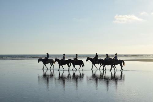 Villa Palm Coast Luxury Rentals