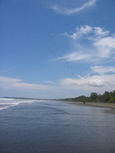Villa Palm Coast Luxury Rentals