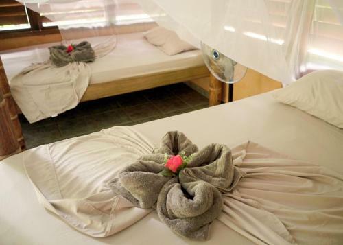 Amazonita Ecolodge