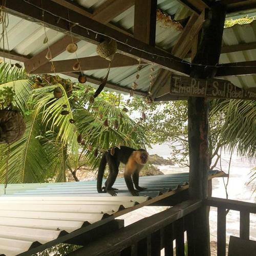 Albergue Sun & Moon Paradise