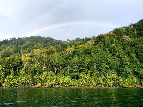 Hotel Golfo Dulce Retreat