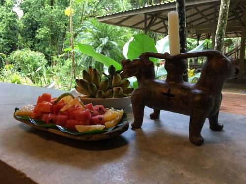 Hotel Golfo Dulce Retreat