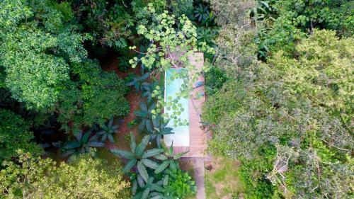 Hotel Golfo Dulce Retreat