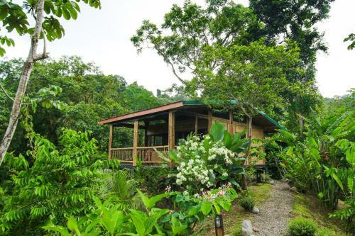 Lodge Madreselva (jungle Bungalows)
