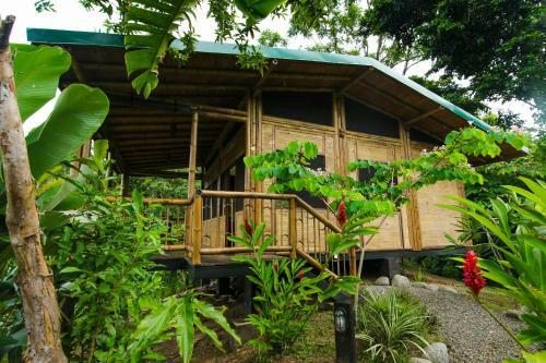 Lodge Madreselva (jungle Bungalows)