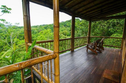 Lodge Madreselva (jungle Bungalows)