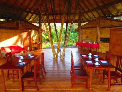 Lodge Madreselva (jungle Bungalows)