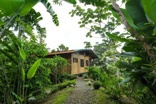 Lodge Madreselva (jungle Bungalows)