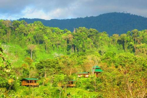 Lodge Madreselva (jungle Bungalows)