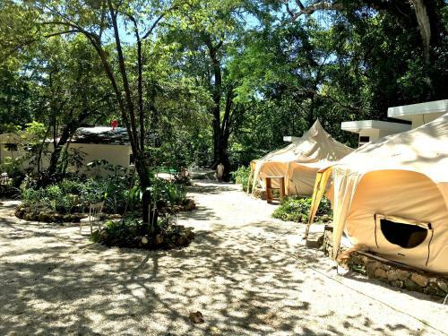Driftwood Glamping & Boutique Hotel
