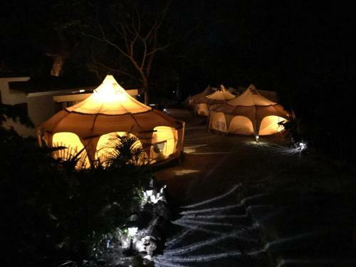 Driftwood Glamping & Boutique Hotel