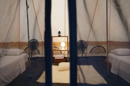 Driftwood Glamping & Boutique Hotel