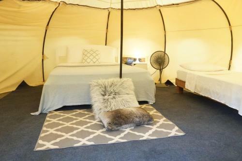 Driftwood Glamping & Boutique Hotel