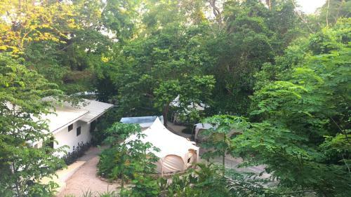 Driftwood Glamping & Boutique Hotel