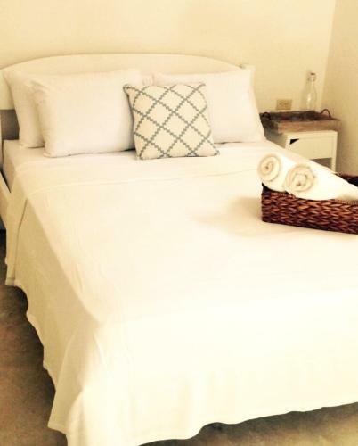 Driftwood Glamping & Boutique Hotel