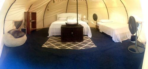 Driftwood Glamping & Boutique Hotel