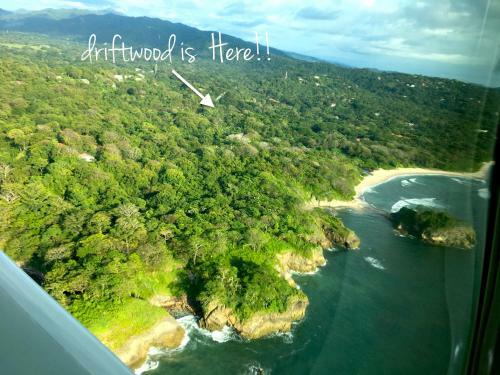 Driftwood Glamping & Boutique Hotel